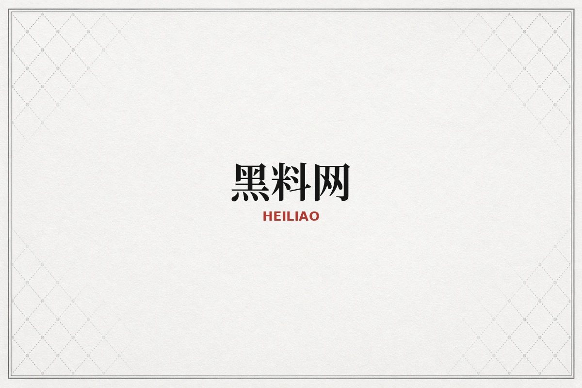 黑料网品牌视觉示意